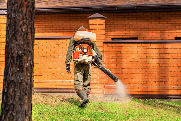 Trusted Rodent Control service in Porcupine, SD - Nex Pest Control